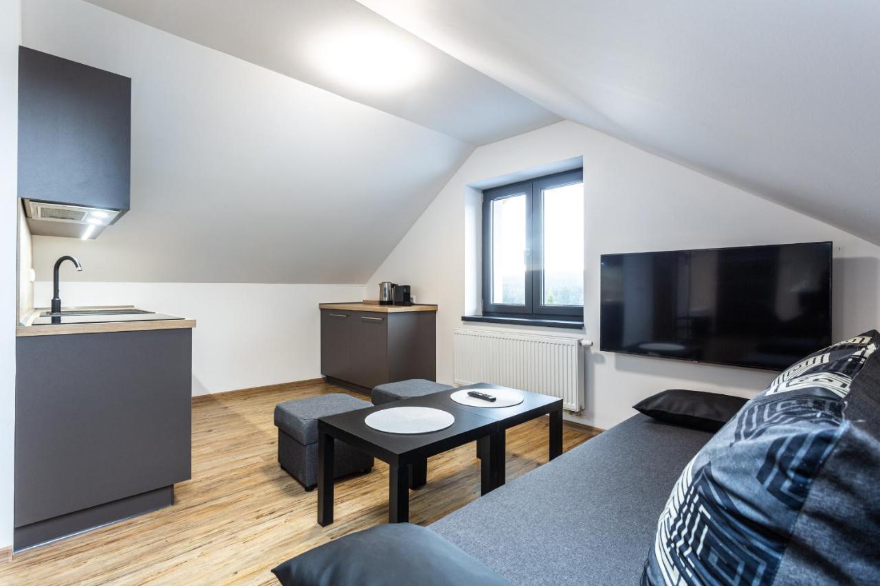 Plessberg Apartments Plesivec Abertamy Extérieur photo
